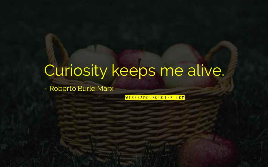 Marketwatch Live Quotes By Roberto Burle Marx: Curiosity keeps me alive.