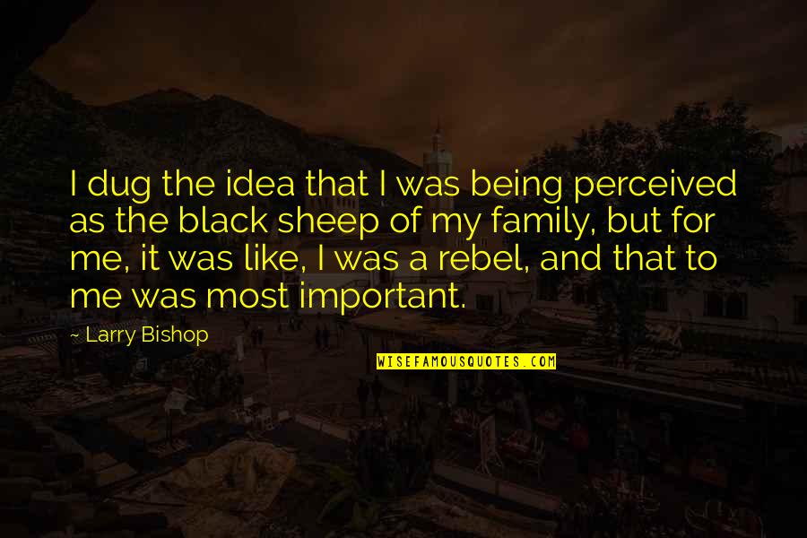 Marriage Without Trust Quotes By Larry Bishop: I dug the idea that I was being