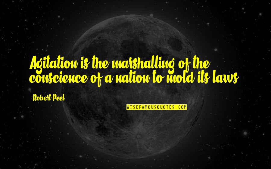 Marshalling Quotes By Robert Peel: Agitation is the marshalling of the conscience of