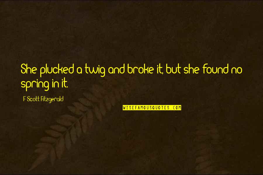 Masenko Kamehameha Quotes By F Scott Fitzgerald: She plucked a twig and broke it, but