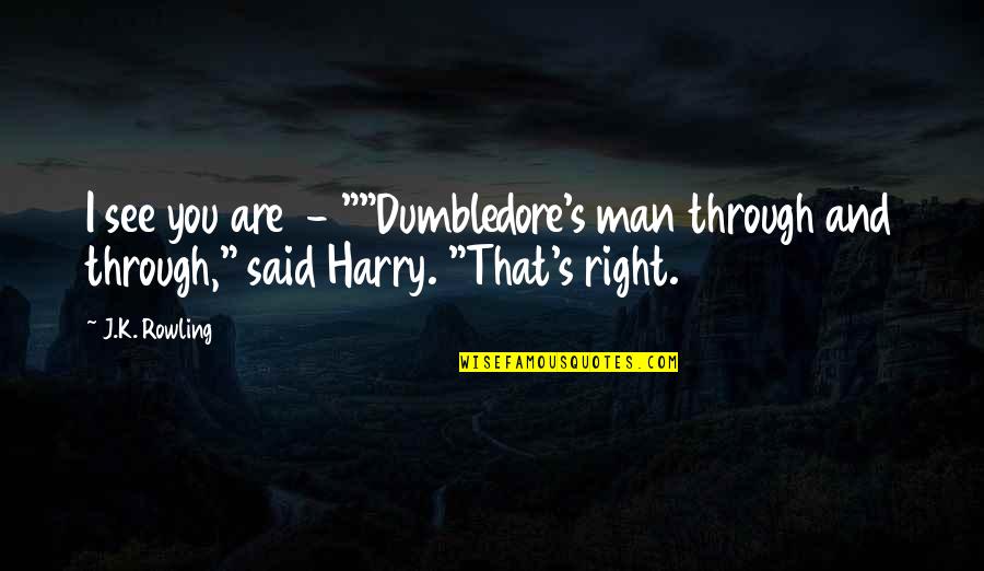 Mastigophorans Quotes By J.K. Rowling: I see you are - ""Dumbledore's man through