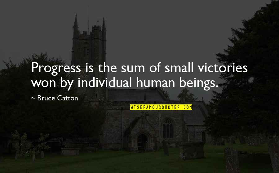 Matalan Uae Quotes By Bruce Catton: Progress is the sum of small victories won