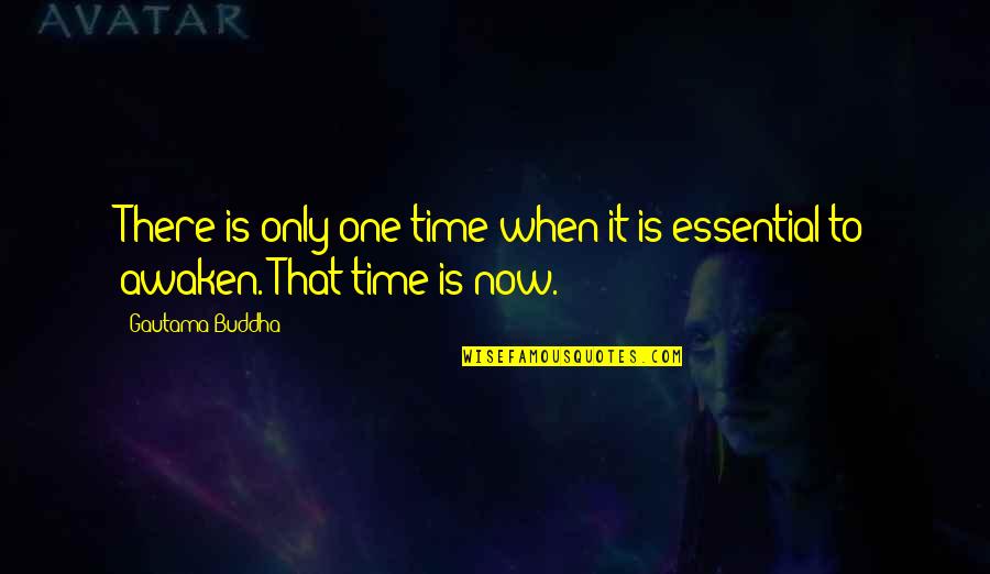 Maubert Mutualite Quotes By Gautama Buddha: There is only one time when it is