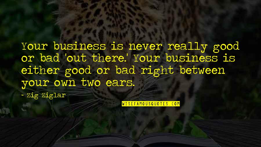 Maxfields Schaumburg Quotes By Zig Ziglar: Your business is never really good or bad