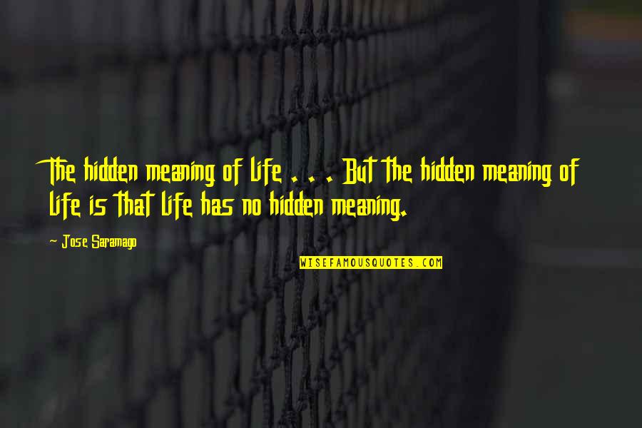 Maximinos Quotes By Jose Saramago: The hidden meaning of life . . .