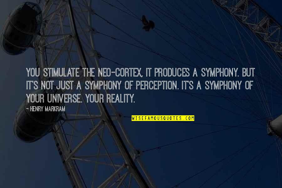 Mayer Anselm Rothschild Quotes By Henry Markram: You stimulate the neo-cortex, it produces a symphony.