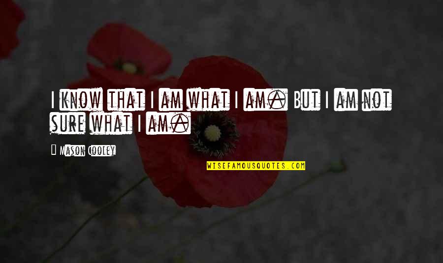 Mayweather Motivational Quotes By Mason Cooley: I know that I am what I am.