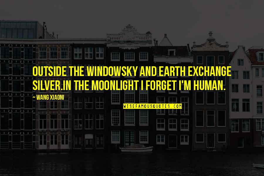 Mazzantini Margaret Quotes By Wang Xiaoni: Outside the windowSky and earth exchange silver.In the