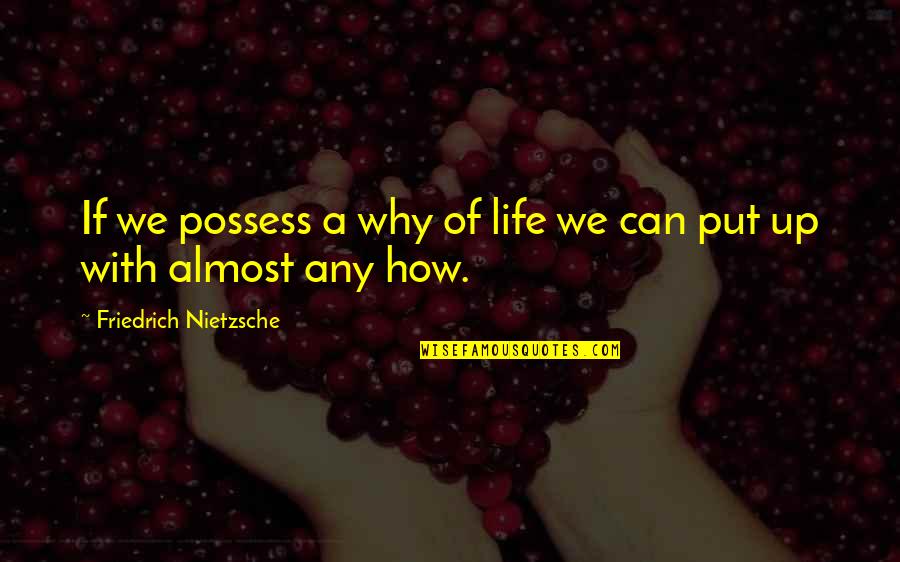 Mccleskey V Quotes By Friedrich Nietzsche: If we possess a why of life we