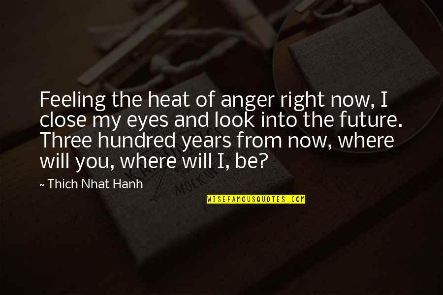 Mcclimens Trucking Quotes By Thich Nhat Hanh: Feeling the heat of anger right now, I