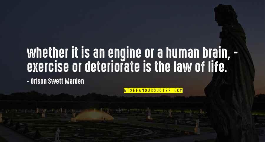 Mcwalters Collaborative Austin Quotes By Orison Swett Marden: whether it is an engine or a human