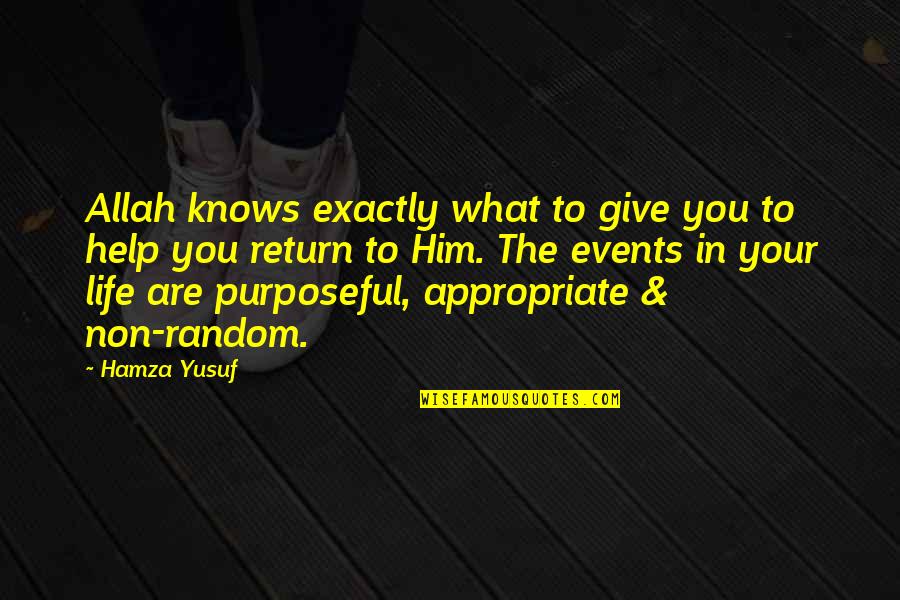 Mdgs Indonesia Quotes By Hamza Yusuf: Allah knows exactly what to give you to