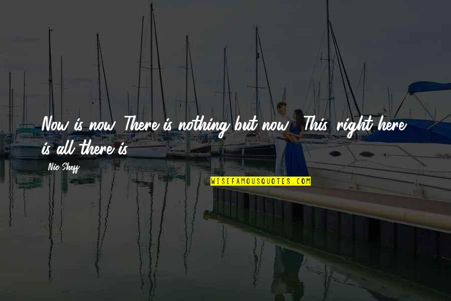 Meanas Quotes By Nic Sheff: Now is now. There is nothing but now...