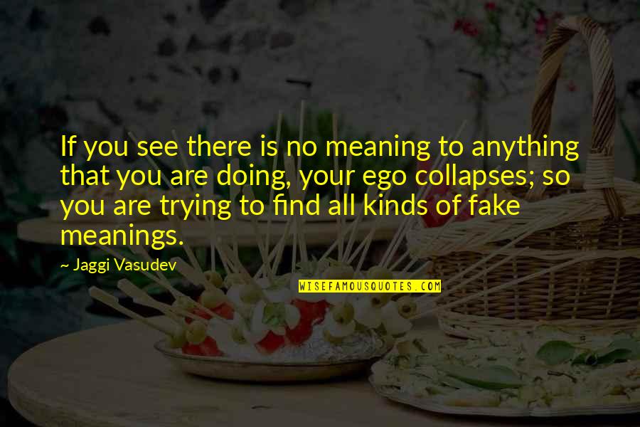 Meaning Of Truth Quotes By Jaggi Vasudev: If you see there is no meaning to