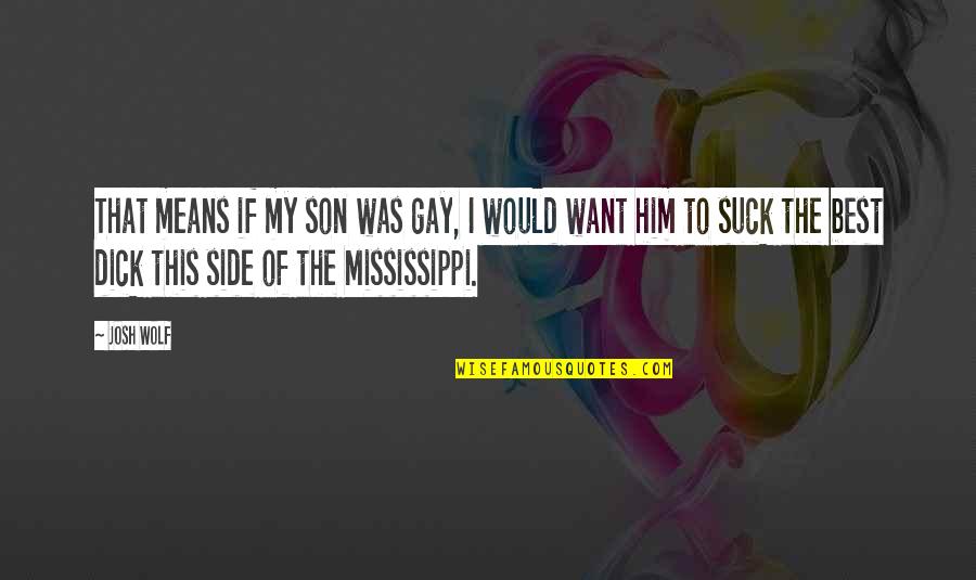 Means If Quotes By Josh Wolf: That means if my son was gay, I