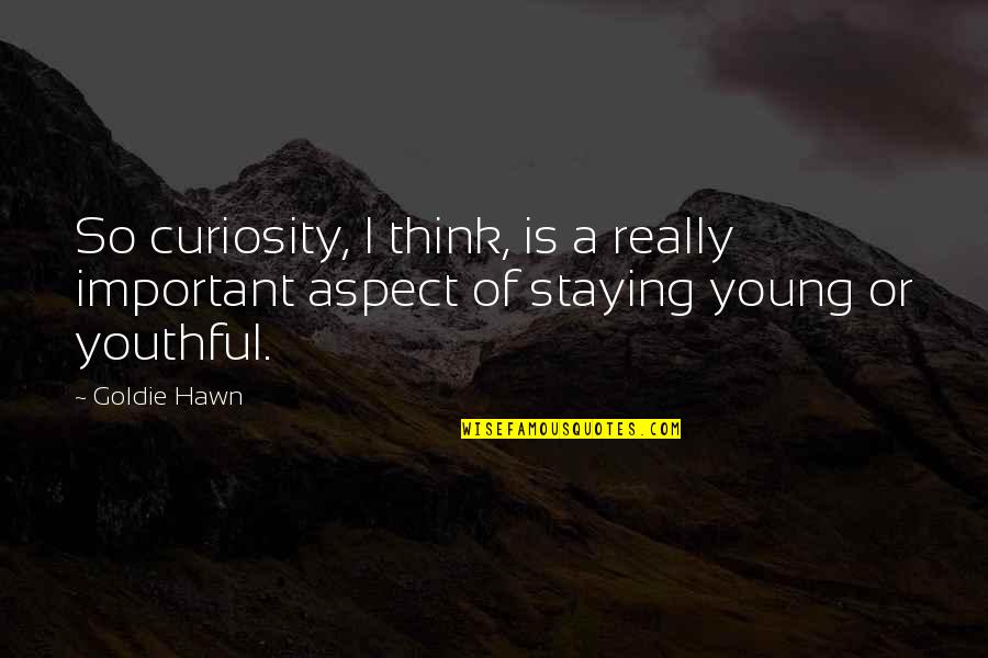 Mechanical Engineering Attitude Quotes By Goldie Hawn: So curiosity, I think, is a really important