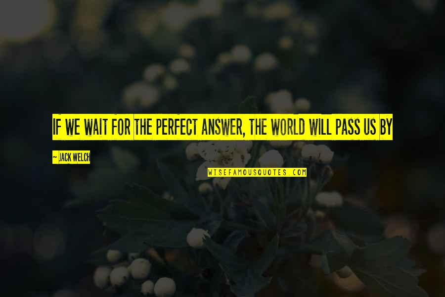 Mechy Druhy Quotes By Jack Welch: If we wait for the perfect answer, the