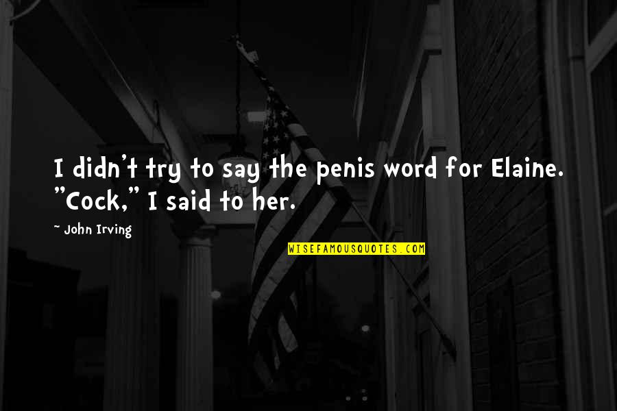 Medimas Quotes By John Irving: I didn't try to say the penis word