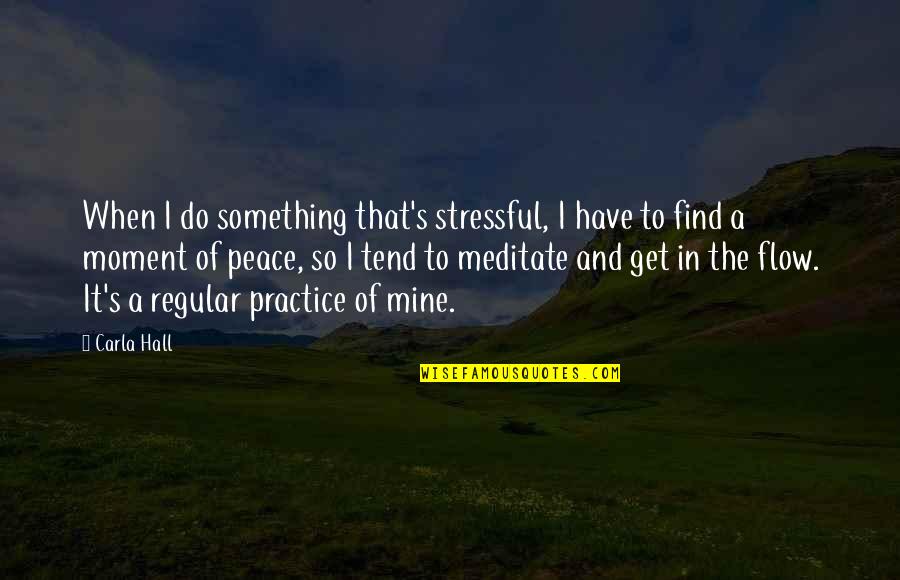 Meditate Quotes By Carla Hall: When I do something that's stressful, I have