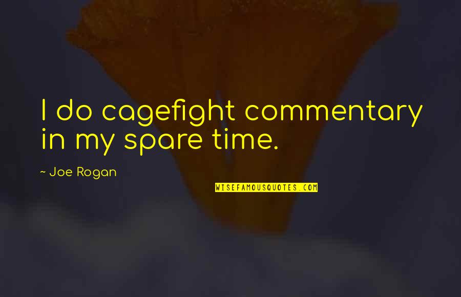 Medojevic Crna Quotes By Joe Rogan: I do cagefight commentary in my spare time.