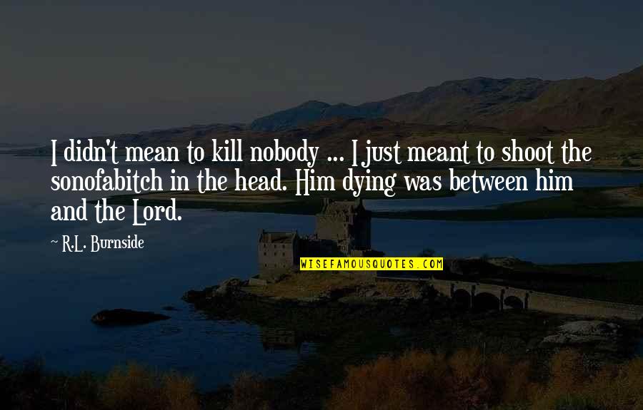 Meeting Someone New And Liking Them Quotes By R.L. Burnside: I didn't mean to kill nobody ... I