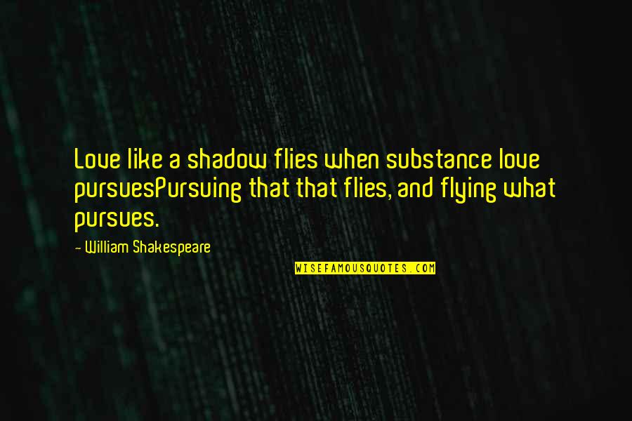 Meg Lehet Quotes By William Shakespeare: Love like a shadow flies when substance love