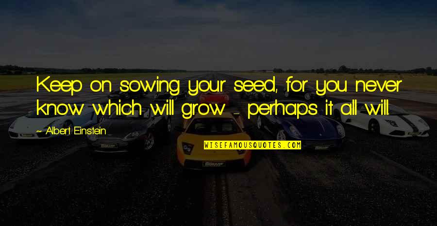 Megillas Quotes By Albert Einstein: Keep on sowing your seed, for you never