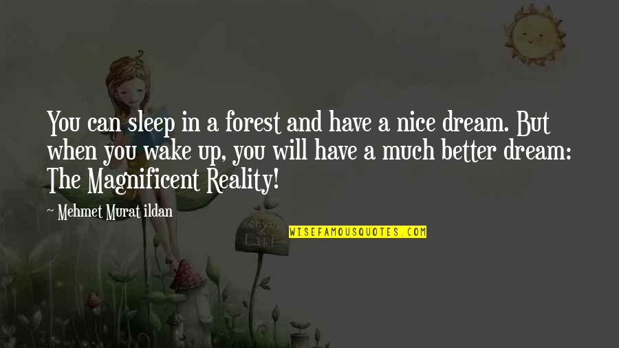 Mehmet Can Quotes By Mehmet Murat Ildan: You can sleep in a forest and have