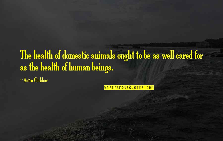 Memories Flashback Quotes By Anton Chekhov: The health of domestic animals ought to be