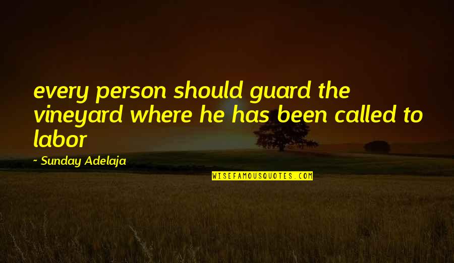 Memphite Drama Quotes By Sunday Adelaja: every person should guard the vineyard where he