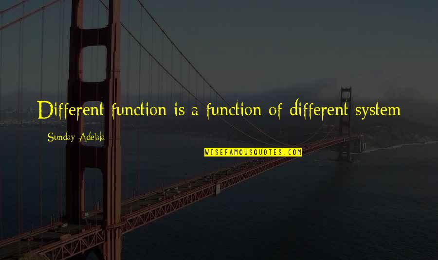 Menganyam Bakul Quotes By Sunday Adelaja: Different function is a function of different system