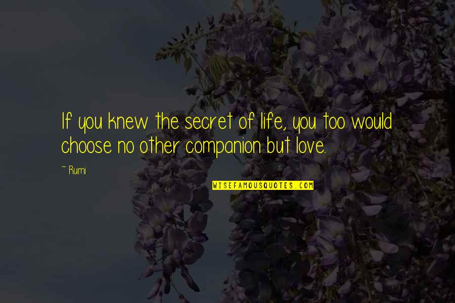 Menggigil Tubuh Quotes By Rumi: If you knew the secret of life, you