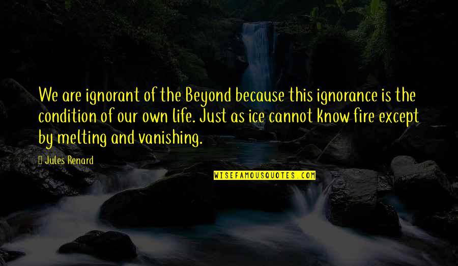 Mensinapt R Quotes By Jules Renard: We are ignorant of the Beyond because this