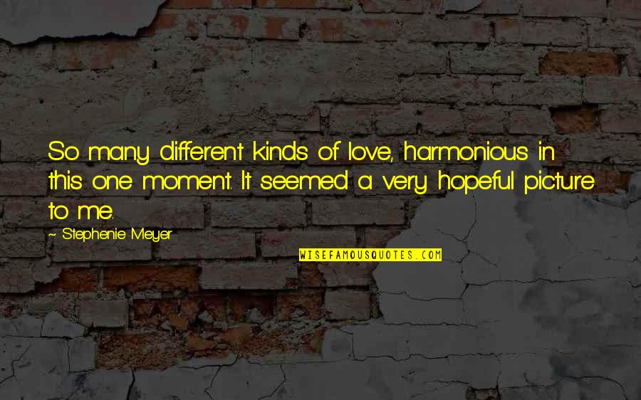 Mental Health Wisdom Quotes By Stephenie Meyer: So many different kinds of love, harmonious in