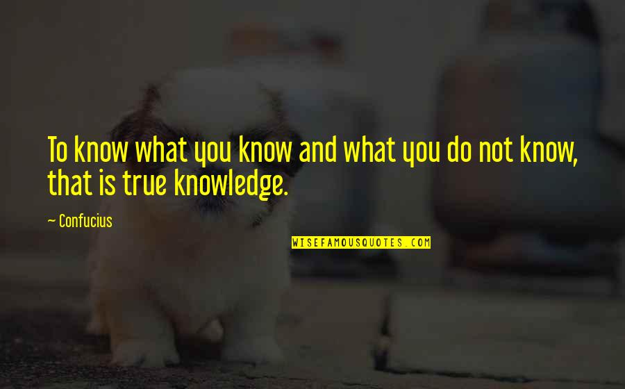 Mental Limitations Quotes By Confucius: To know what you know and what you