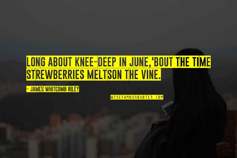 Menyalai Daging Quotes By James Whitcomb Riley: Long about knee-deep in June,'Bout the time strewberries