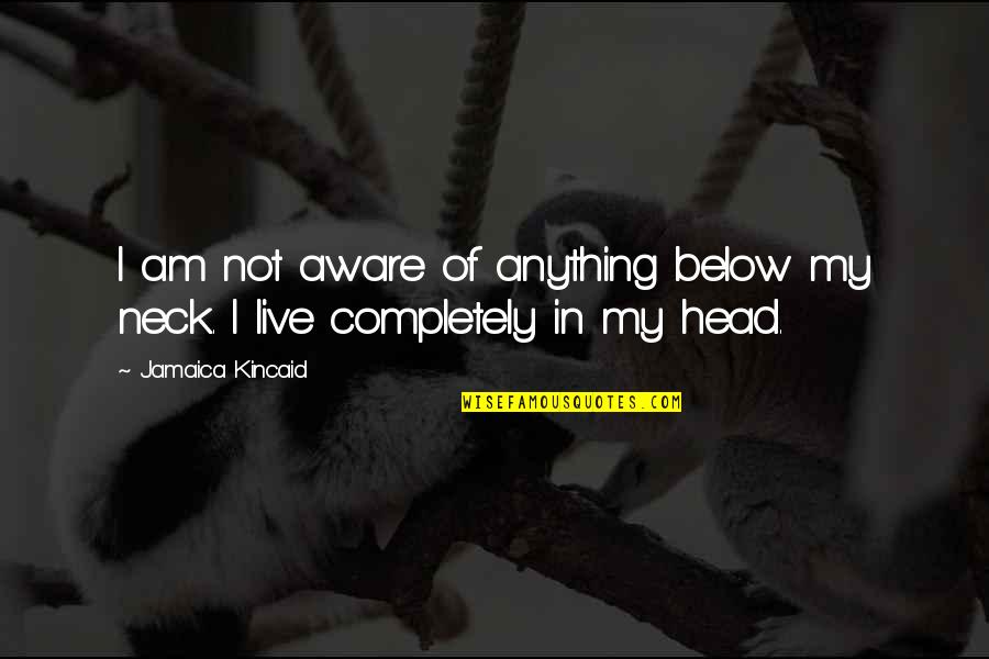 Merendon Latino Quotes By Jamaica Kincaid: I am not aware of anything below my