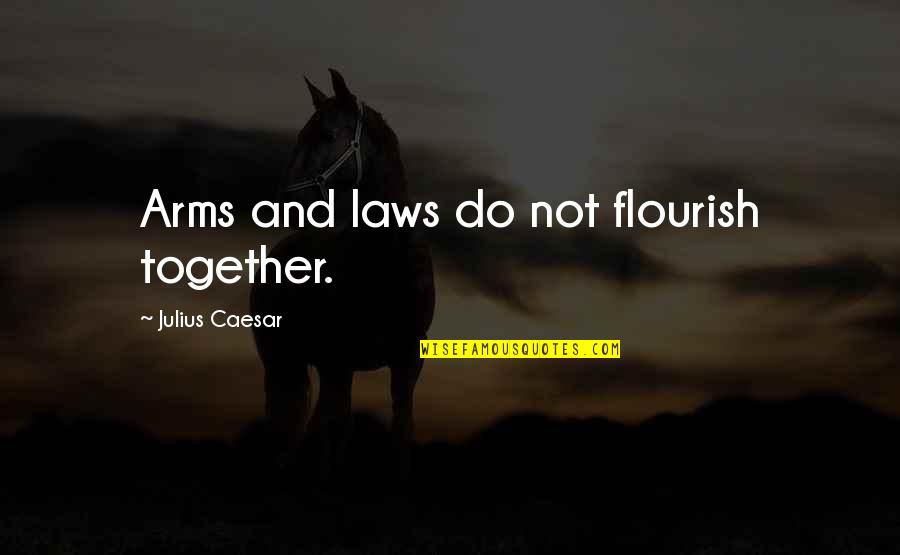 Mes Condoleances Quotes By Julius Caesar: Arms and laws do not flourish together.