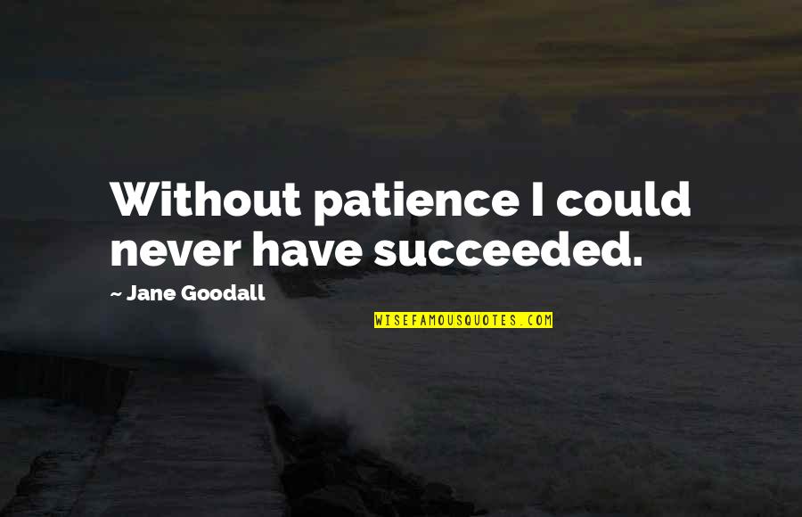 Meurens Herve Quotes By Jane Goodall: Without patience I could never have succeeded.