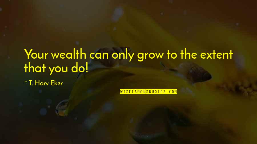 Meysenburgs Liquor Quotes By T. Harv Eker: Your wealth can only grow to the extent