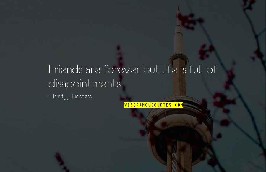 Mezrich Pool Quotes By Trinity J. Eidsness: Friends are forever but life is full of