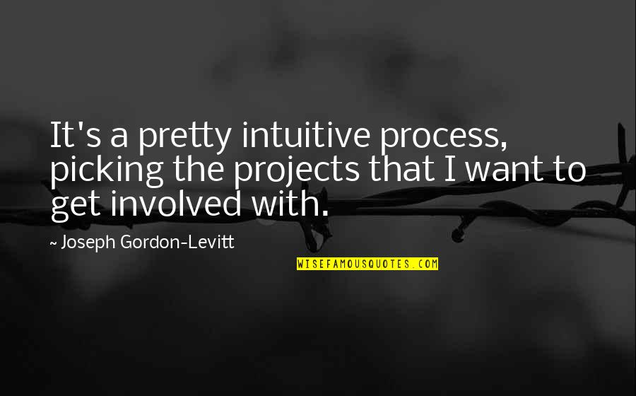 Miccoli Fabrizio Quotes By Joseph Gordon-Levitt: It's a pretty intuitive process, picking the projects