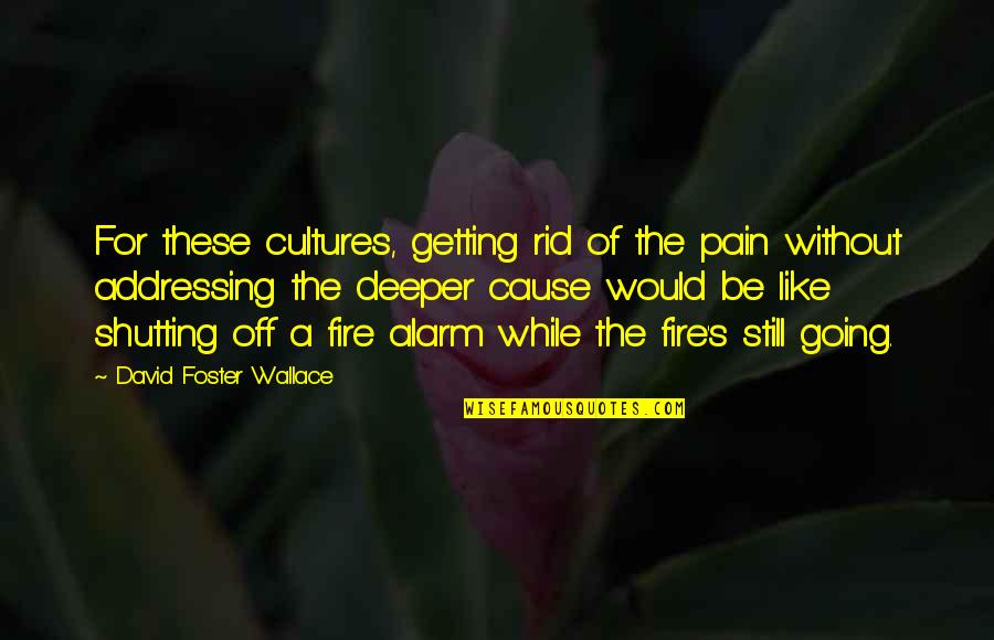 Michelle Olak Quotes By David Foster Wallace: For these cultures, getting rid of the pain