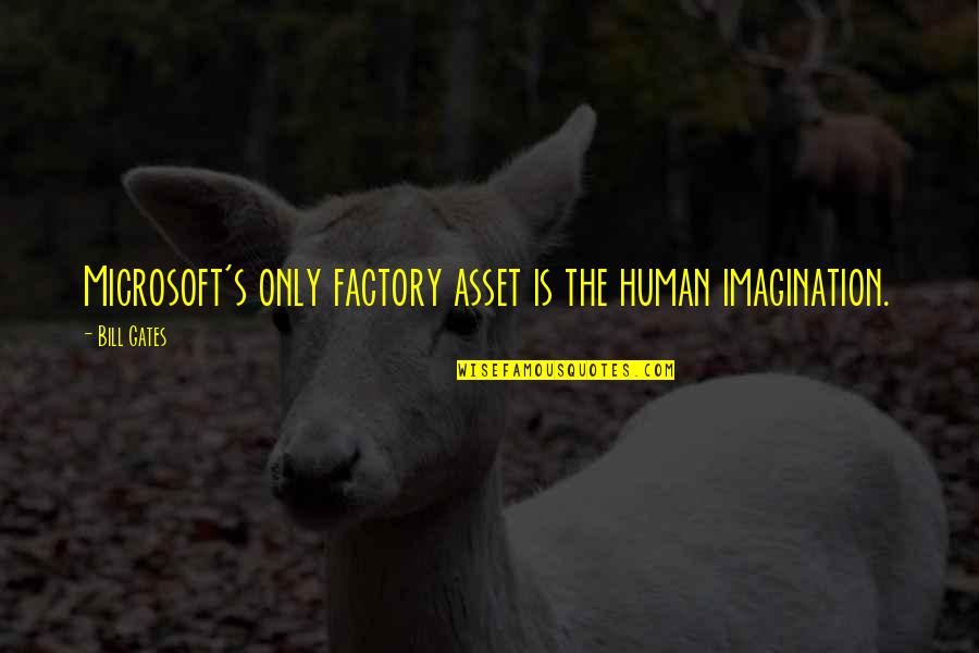 Microsoft's Quotes By Bill Gates: Microsoft's only factory asset is the human imagination.