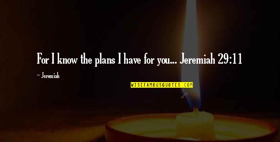 Midsummers Day Quotes By Jeremiah: For I know the plans I have for