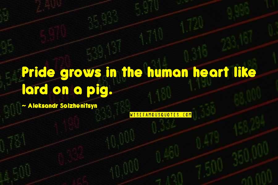 Miedzian Do Ochrony Quotes By Aleksandr Solzhenitsyn: Pride grows in the human heart like lard