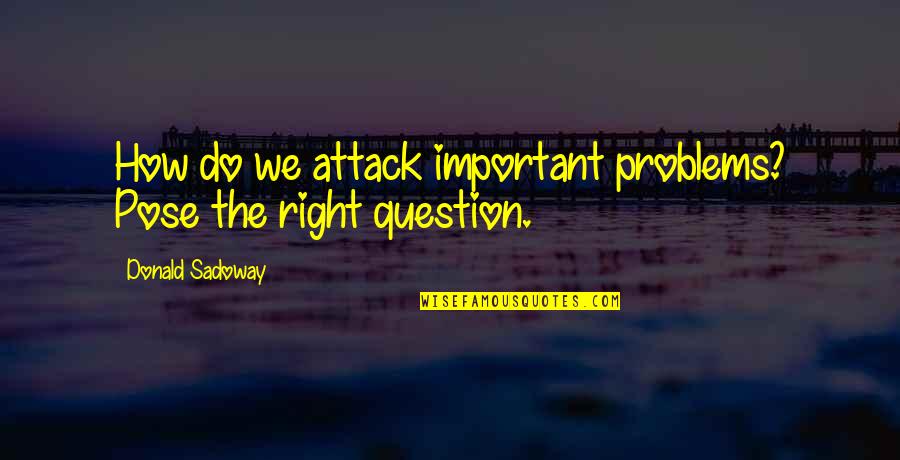 Mijemira Quotes By Donald Sadoway: How do we attack important problems? Pose the