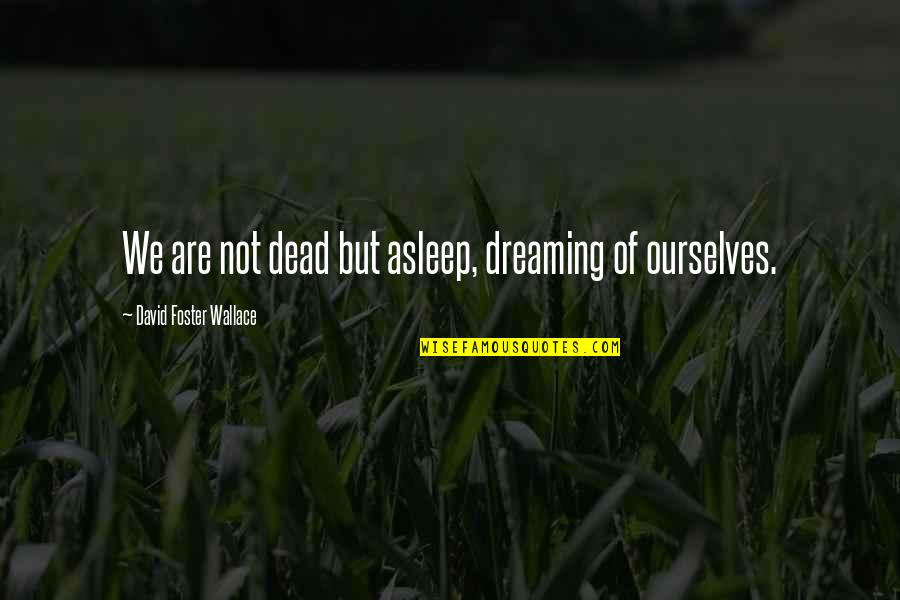 Mike Thaler Quotes By David Foster Wallace: We are not dead but asleep, dreaming of