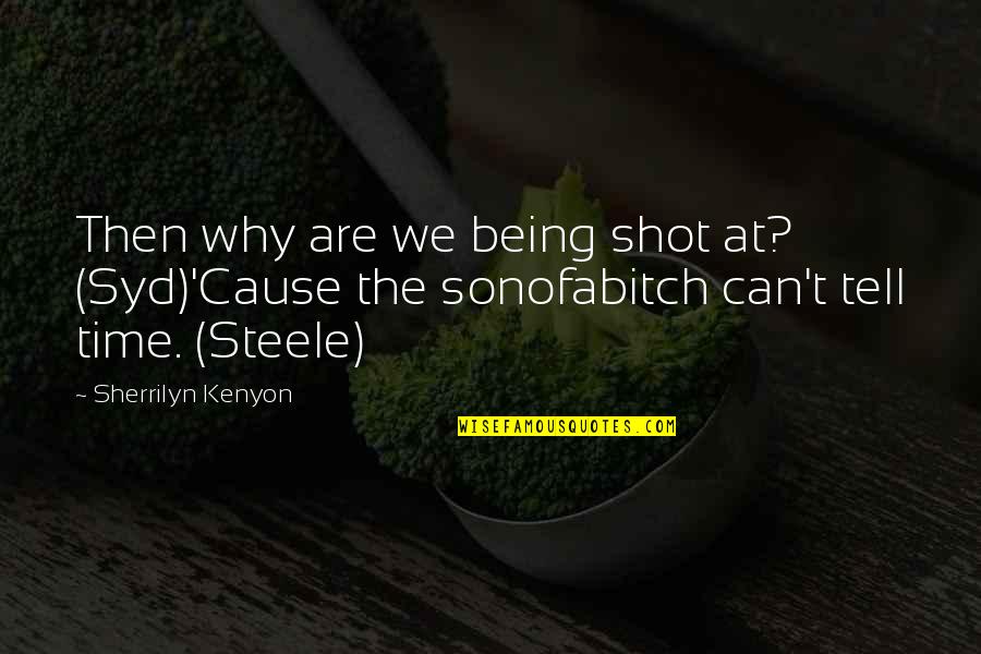 Mike Thaler Quotes By Sherrilyn Kenyon: Then why are we being shot at? (Syd)'Cause