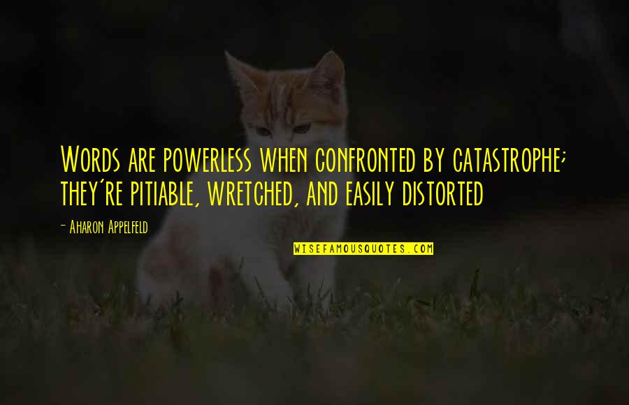 Milady's Quotes By Aharon Appelfeld: Words are powerless when confronted by catastrophe; they're